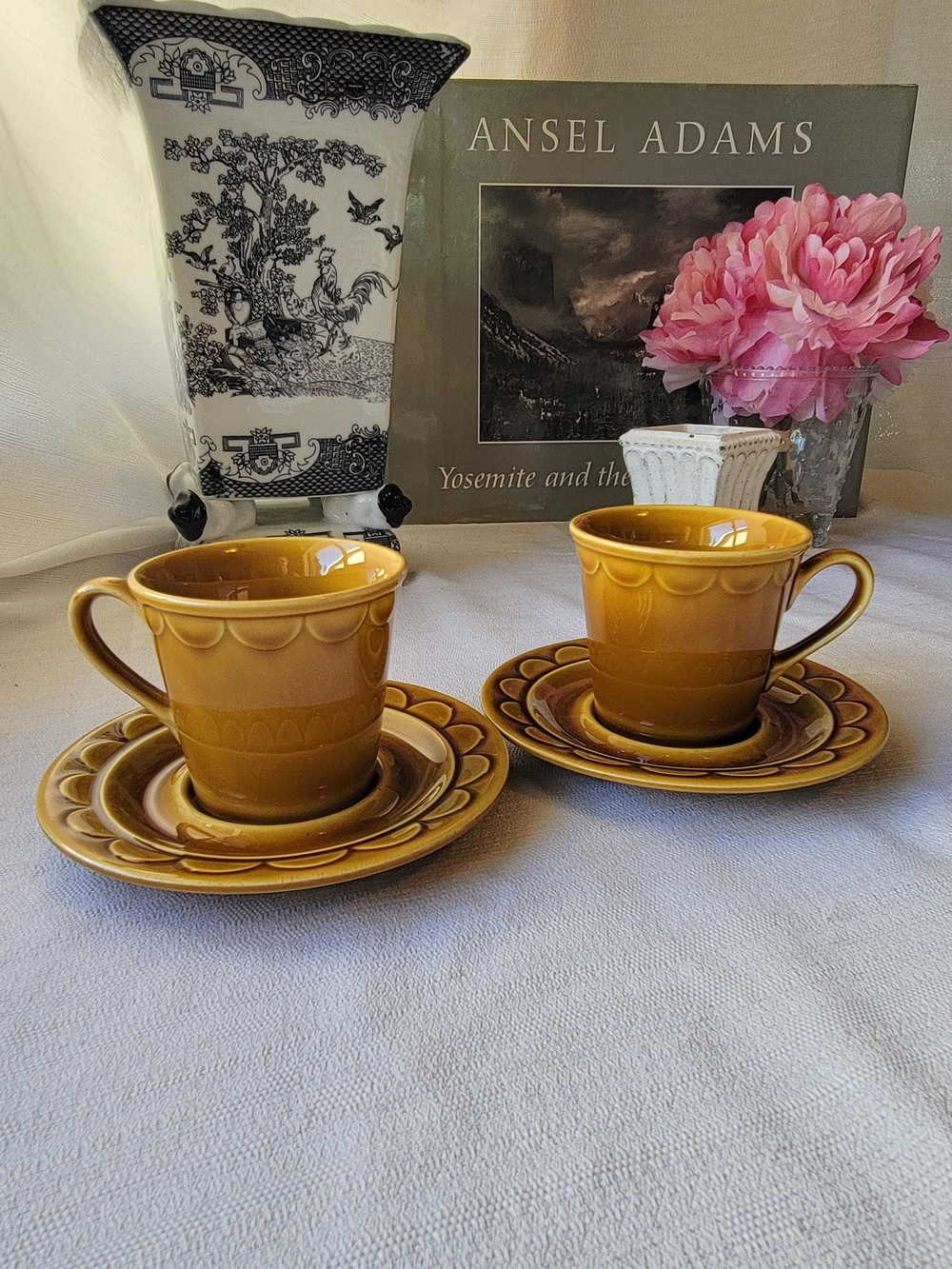 Homer Laughlin Vintage Coffee Cup and Saucer Set - in the Castilian Pattern